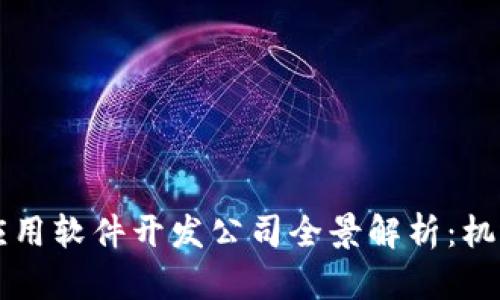 区块链应用软件开发公司全景解析：机遇与挑战
