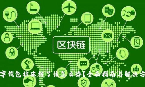 数字钱包被冻结了该怎么办？全面指南与解决方案