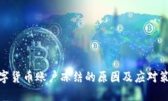 数字货币账户冻结的原因及应对策略