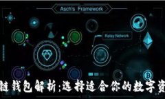   常见的区块链钱包解析：选择适合你的数字资产