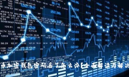 狗狗币加密钱包密码丢了怎么办？全面解读与解决方案