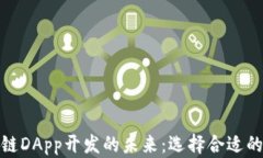 探索区块链DApp开发的未来：选择合适的合作伙伴