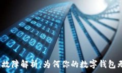   数字钱包故障解析：为何你的数字钱包无法使用