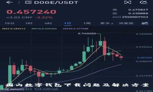 国内数字钱包下载问题及解决方案