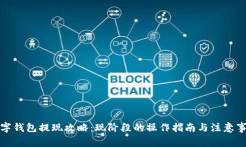 数字钱包提现攻略：现阶段的操作指南与注意事项