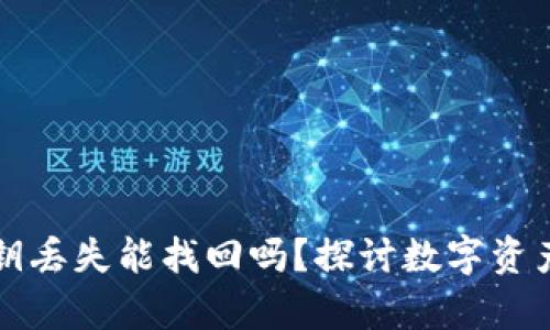 区块链钱包私钥丢失能找回吗？探讨数字资产的安全与恢复