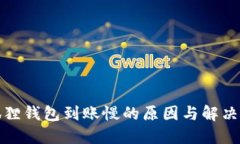 小狐狸钱包到账慢的原因与解决方案