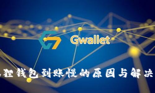小狐狸钱包到账慢的原因与解决方案