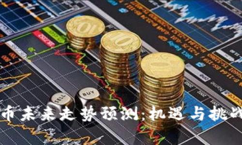 狗狗币未来走势预测：机遇与挑战分析