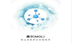 虚拟币钱包网址的选择与安全策略