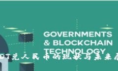 USDT兑人民币的现状与未来展望