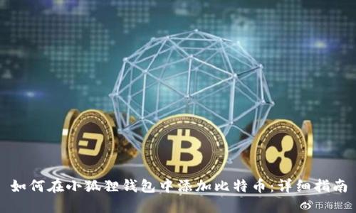 如何在小狐狸钱包中添加比特币：详细指南