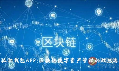 小狐狸钱包APP：区块链数字资产管理的理想选择