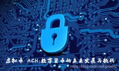虚拟币 ACH：数字货币的未来发展与挑战