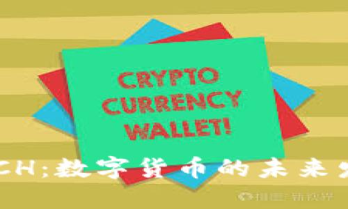 虚拟币 ACH：数字货币的未来发展与挑战