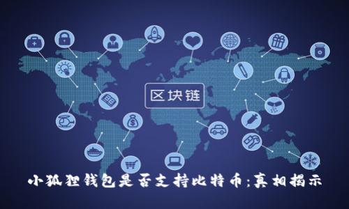 小狐狸钱包是否支持比特币：真相揭示