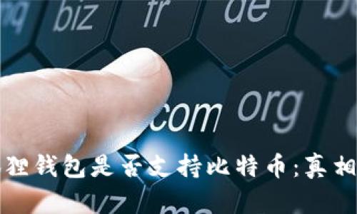 小狐狸钱包是否支持比特币：真相揭示