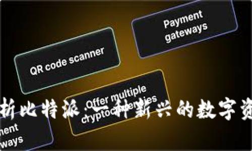 深度解析比特派：一种新兴的数字资产钱包