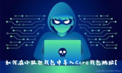 如何在小狐狸钱包中导入Core钱包地址？