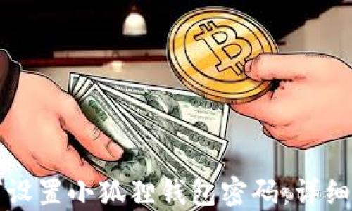 
如何设置小狐狸钱包密码：详细指南