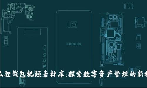 小狐狸钱包视频素材库：探索数字资产管理的新视野