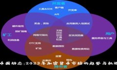 币圈动态：2023年加密货币市场的趋势与机遇
