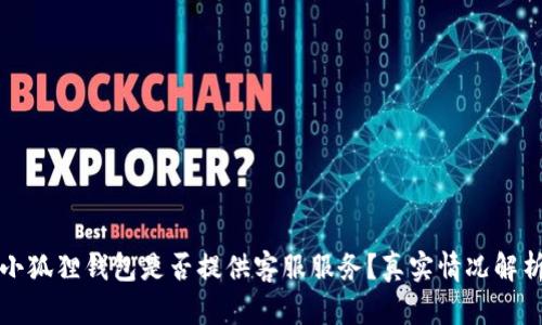 小狐狸钱包是否提供客服服务？真实情况解析