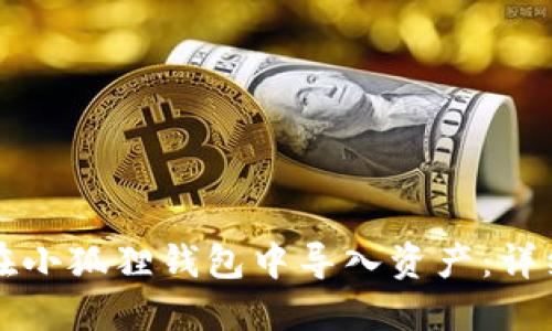 如何在小狐狸钱包中导入资产：详细指南