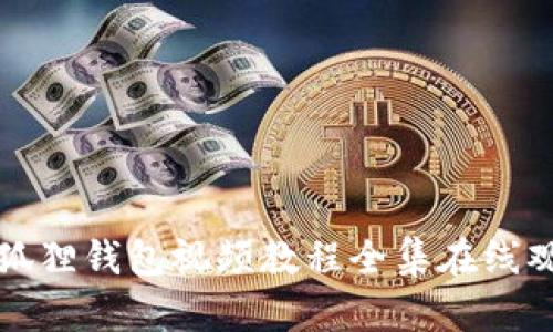 小狐狸钱包视频教程全集在线观看