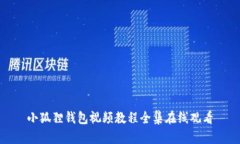 小狐狸钱包视频教程全集在线观看