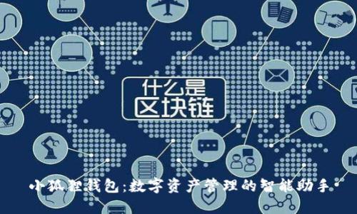 小狐狸钱包：数字资产管理的智能助手