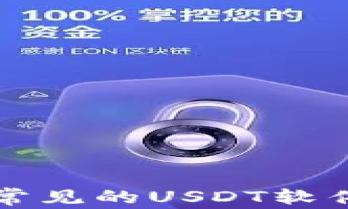 
深入探讨常见的USDT软件及其功能