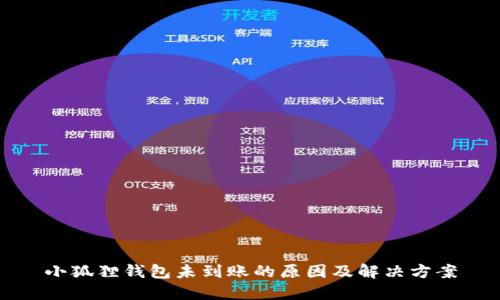 小狐狸钱包未到账的原因及解决方案