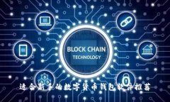 适合新手的数字货币钱包软件推荐