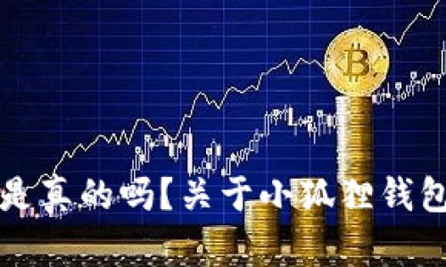 小狐狸钱包是真的吗？关于小狐狸钱包的全面解析