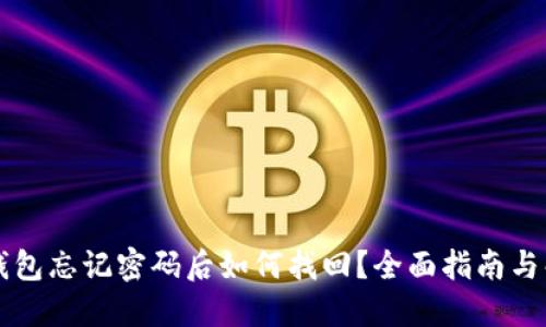虚拟币钱包忘记密码后如何找回？全面指南与解决方案