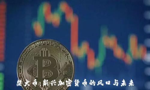   
柴犬币：新兴加密货币的风口与未来