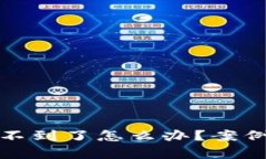 小狐狸钱包币找不到了怎么办？案例分析与解决
