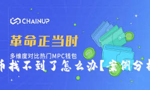 小狐狸钱包币找不到了怎么办？案例分析与解决方案