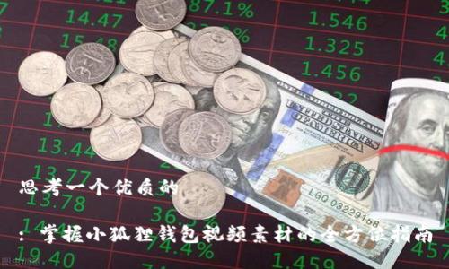 思考一个优质的

: 掌握小狐狸钱包视频素材的全方位指南