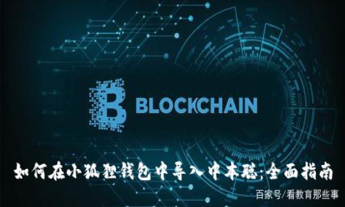 如何在小狐狸钱包中导入中本聪：全面指南
