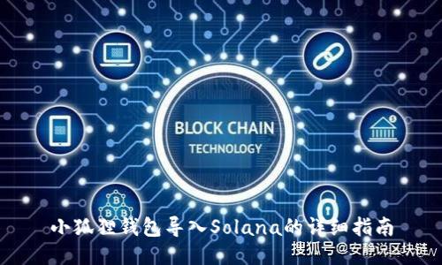 小狐狸钱包导入Solana的详细指南