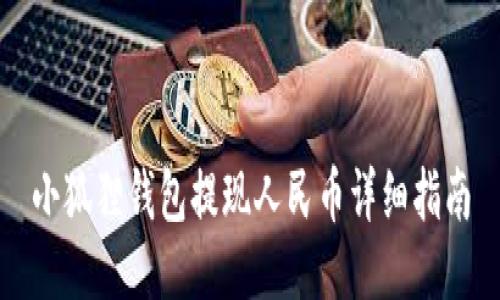 小狐狸钱包提现人民币详细指南