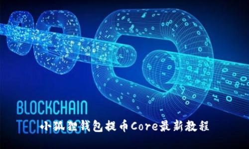 小狐狸钱包提币Core最新教程