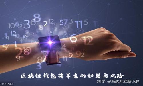 区块链钱包薅羊毛的秘籍与风险