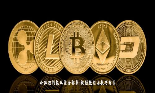 小狐狸钱包玩法全解析：视频教程与技巧分享