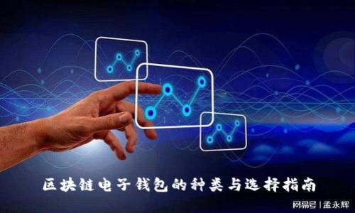 区块链电子钱包的种类与选择指南