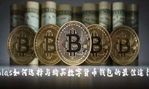 bias如何选择与购买数字货币钱包的最佳途径