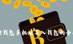 小狐狸钱包手机版导入钱包的全面指南