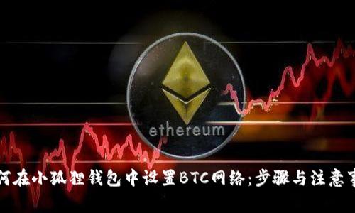 如何在小狐狸钱包中设置BTC网络：步骤与注意事项